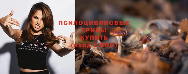 гашик Алексеевка