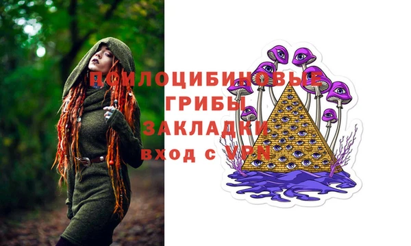 гашик Алексеевка