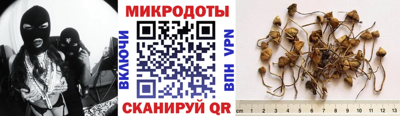 где купить наркоту  Луга  Псилоцибиновые грибы мицелий 